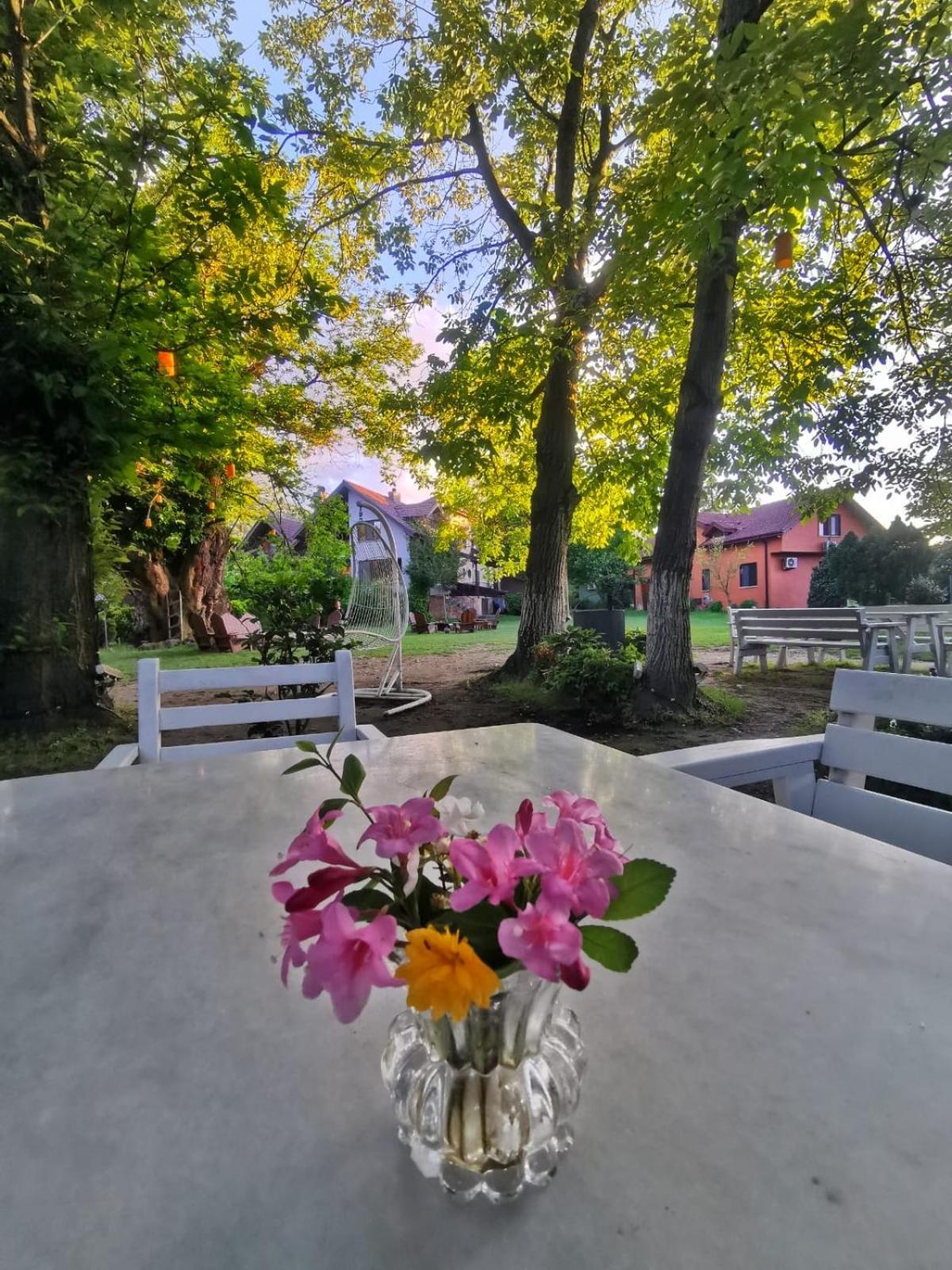 Villa Kirkpinar Sapanca Eksteriør billede