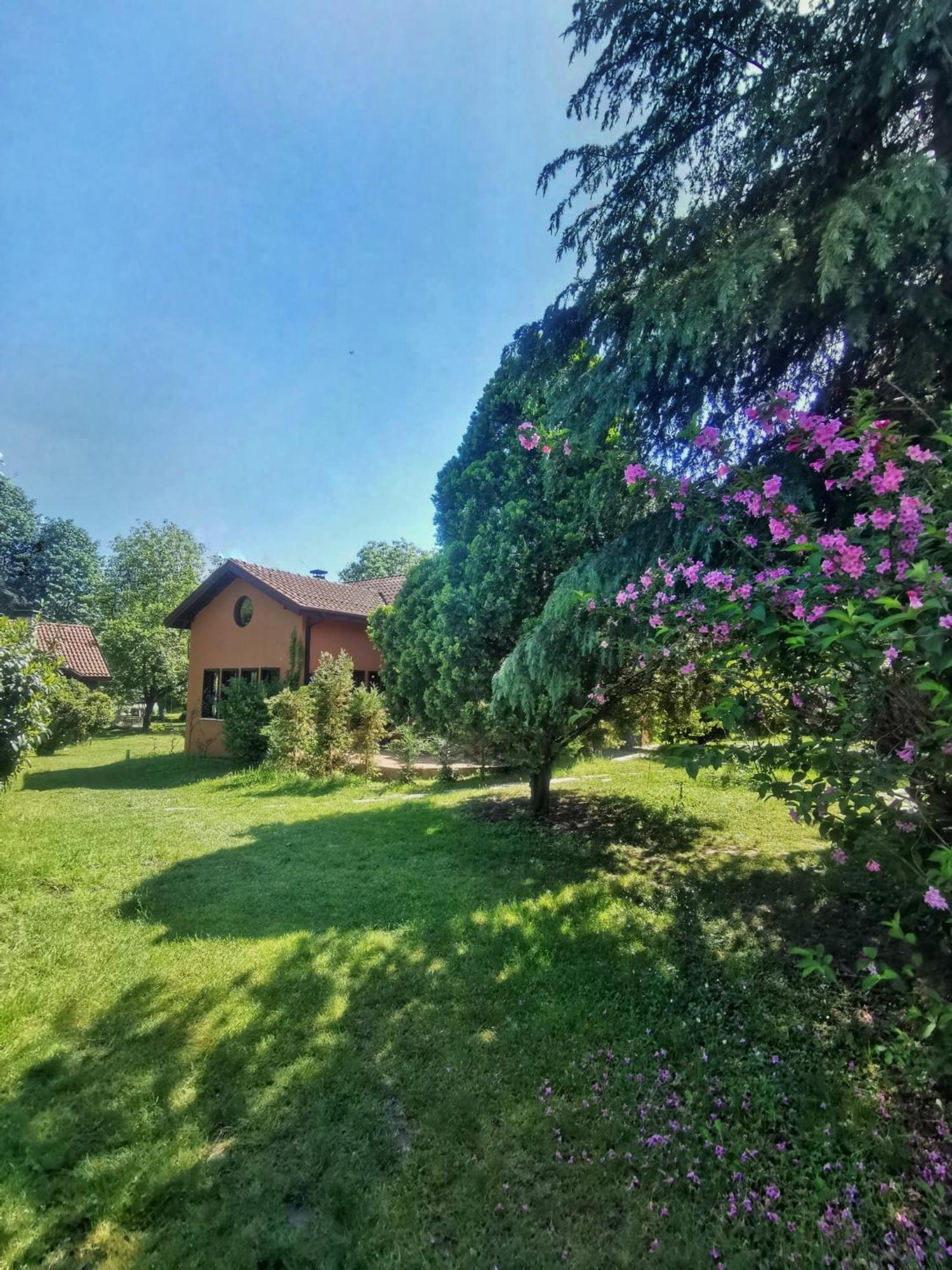 Villa Kirkpinar Sapanca Eksteriør billede